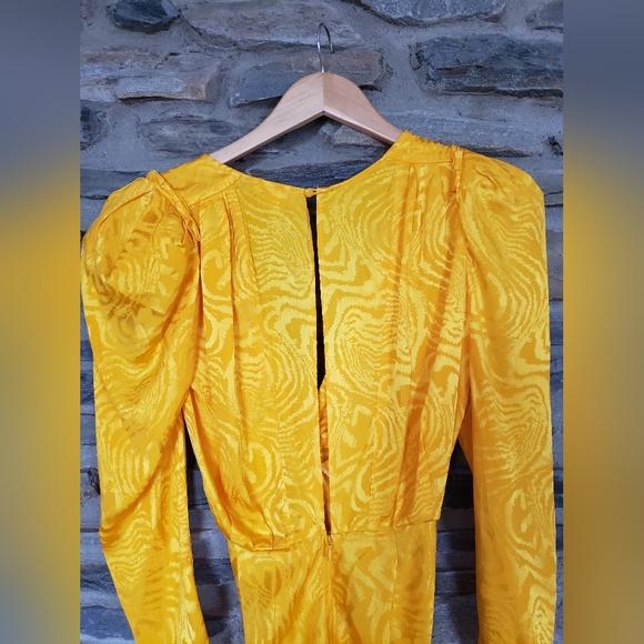 Ronny Kobo Astrid Ruched Moire Dress Yellow  XS - Picture 7 of 7